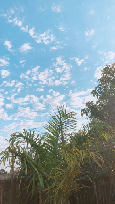 u162584886 thumbnail