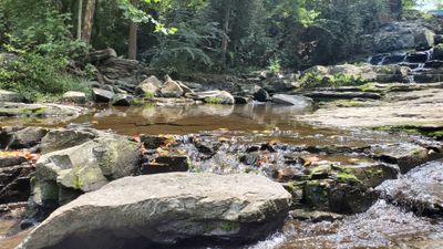 thefithippiechick thumbnail