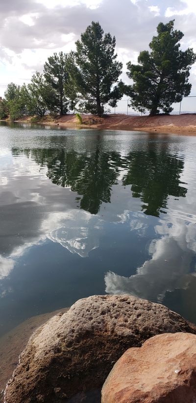 Tiffany Godfrey thumbnail