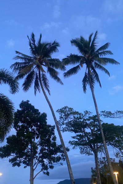 u211998737 thumbnail