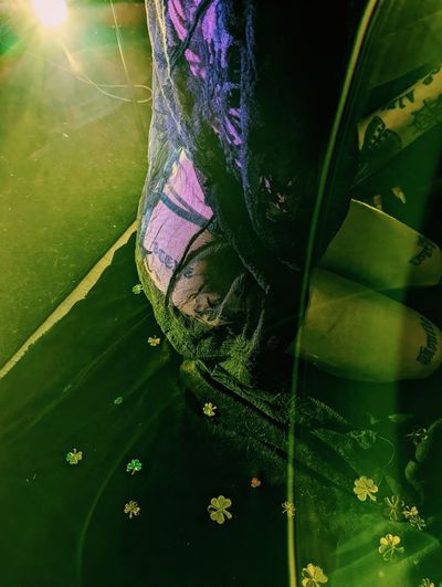 ghoulies.laboratory.666 thumbnail