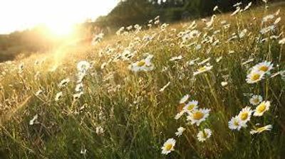 u163234298 thumbnail