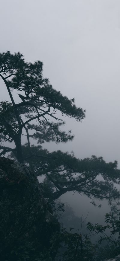 Jay VIP Lounge thumbnail