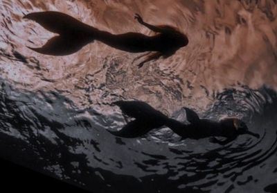 enchanted.siren thumbnail