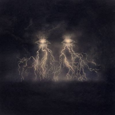 sortabuggin thumbnail