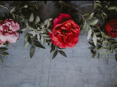 kris_lewiso thumbnail