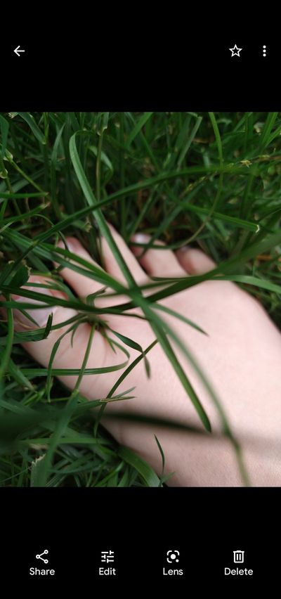 TwinkleToes thumbnail