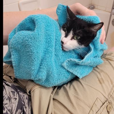 thetherapygamer thumbnail