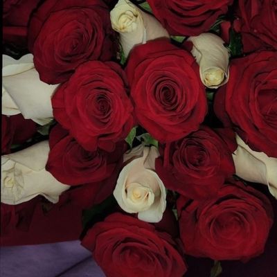 gxngerbxbyy thumbnail