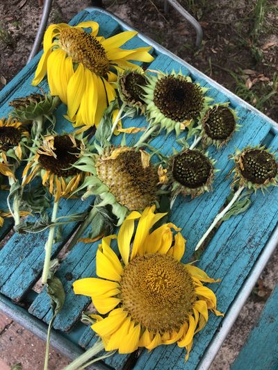 xx.thicbaby.xx thumbnail