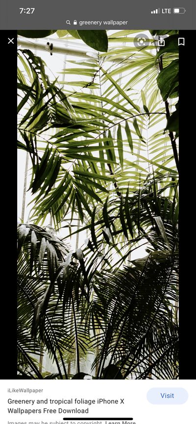 perkinicole23 thumbnail