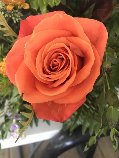 juicyjess69420 thumbnail