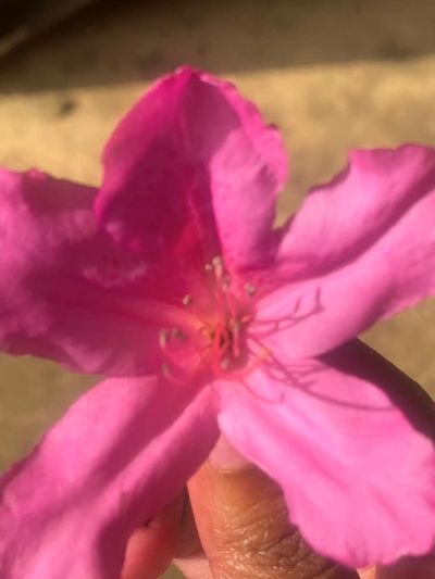 drinkmymilkuphoe profile