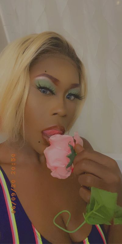 Dommeonthepinkdragon profile