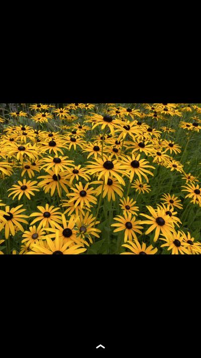 katedivine.xo thumbnail