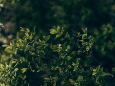 xoxosabxoxo thumbnail