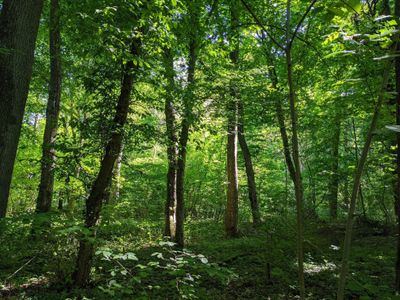 fxbienlioup thumbnail