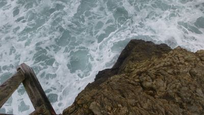 lara.vidal thumbnail