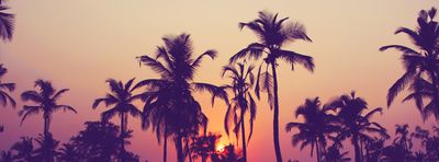 callmecaitie thumbnail