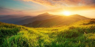 exoticbunniess thumbnail