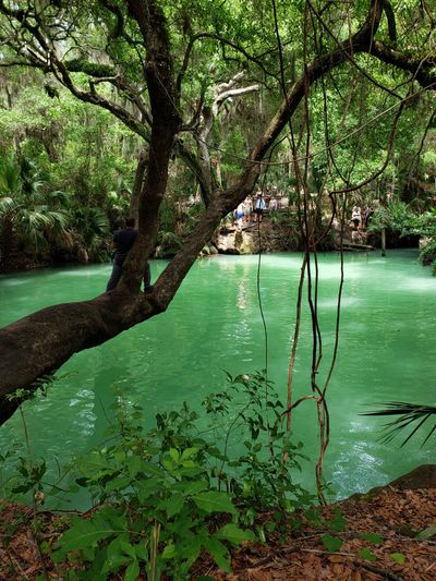 Nick Nostromo thumbnail