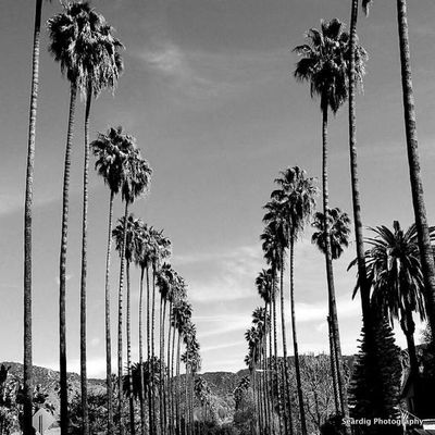 holewrecker69 thumbnail