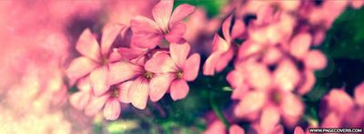 pinkypie16 thumbnail