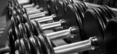 insanephisique thumbnail