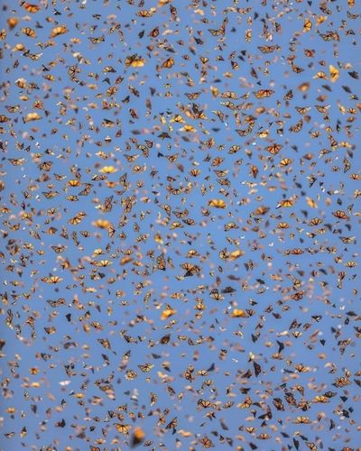 givemethatbeckyy thumbnail