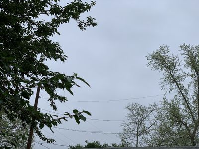 tippytoeing13 thumbnail