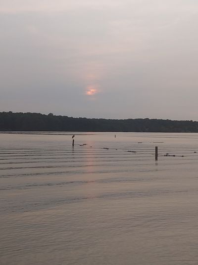 altbfnovae thumbnail