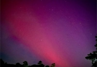 contentdoll thumbnail