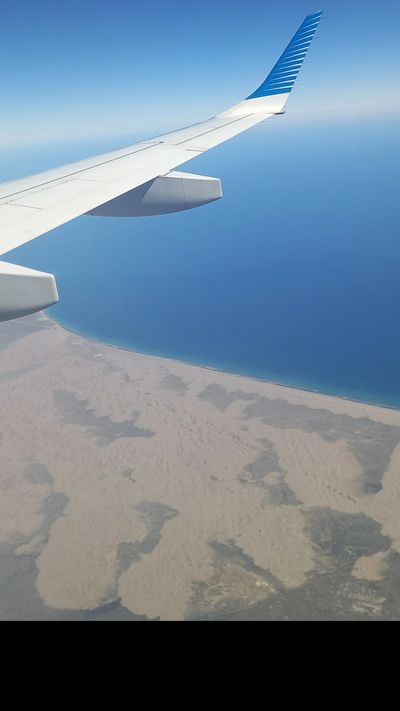 miapetting thumbnail