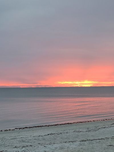 pastel.pearl thumbnail