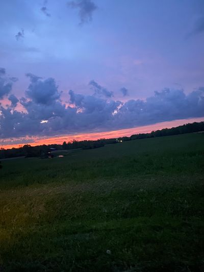 begformolly thumbnail