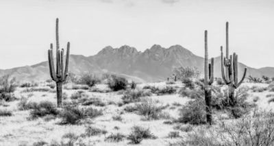 pretty_ms_kitty thumbnail