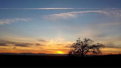 proudpussy69 thumbnail