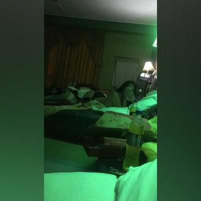 bellarouse thumbnail