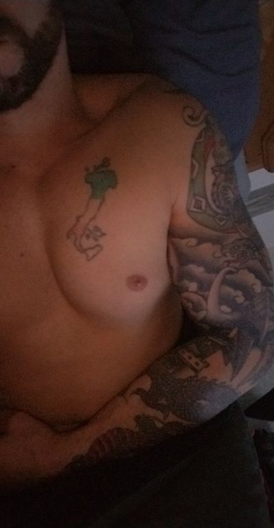 sicilianstud thumbnail