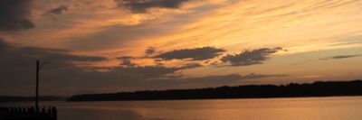 safari_kyle thumbnail