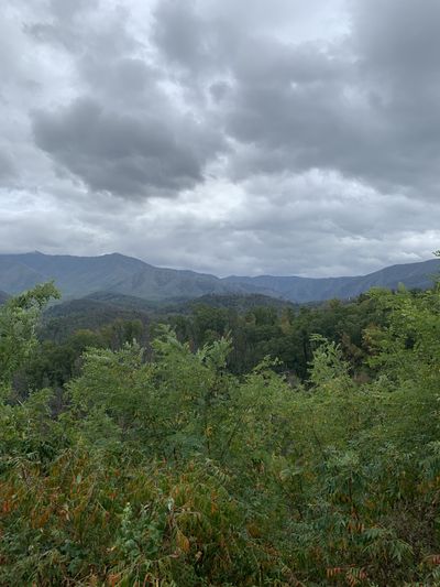 Cd-Natalie thumbnail