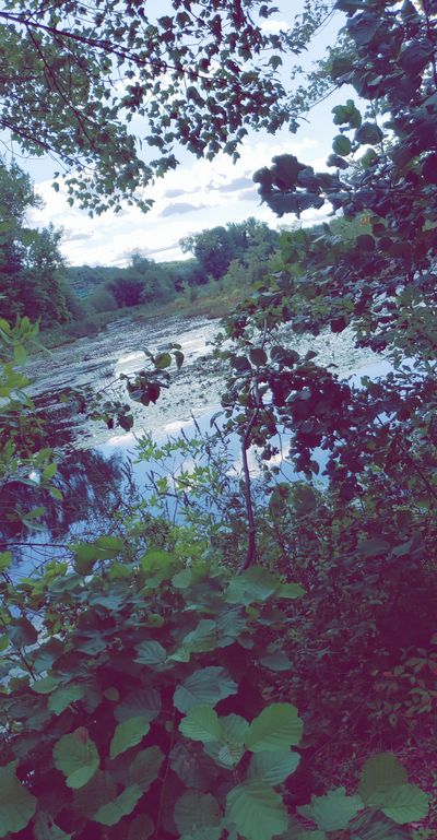 jupiter-love thumbnail