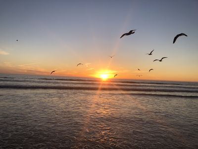 u186156268 thumbnail