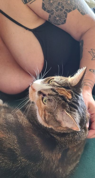 crazycatlady420 thumbnail