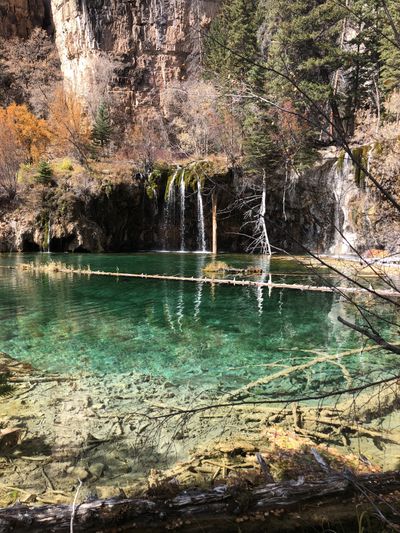 phillipdaniels thumbnail