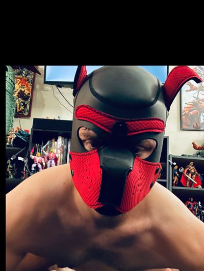 itsgaymerguy profile