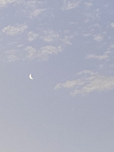 dcup_delicious thumbnail