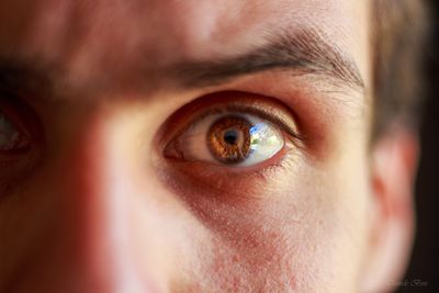 u245265866 thumbnail