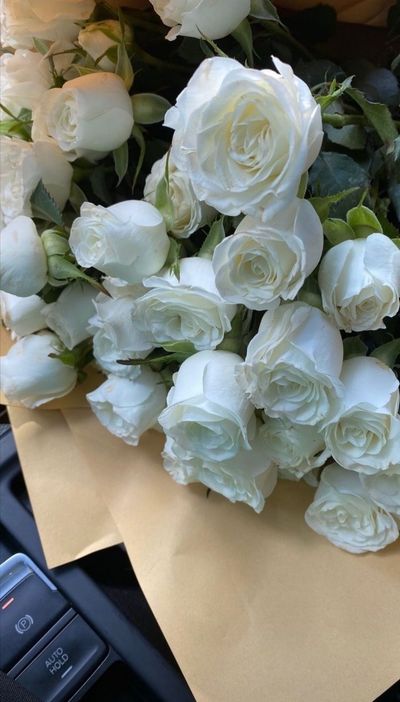 u219808226 thumbnail