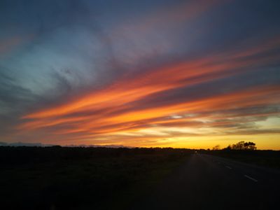 bearded_lust thumbnail